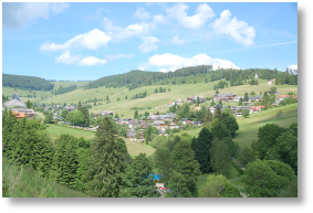 Haus Mai 2011 020.JPG